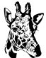 African Animal Decal 39