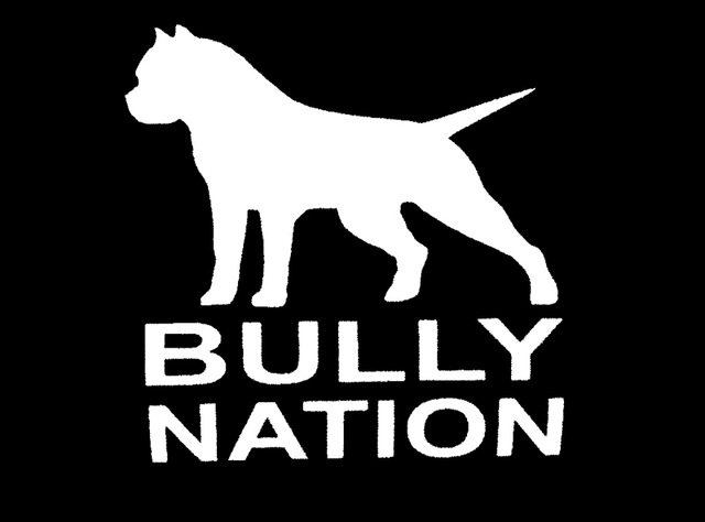 American-Bully-Nation-Pit-Bull-Sticker-For-Car-Window-Truck-Bumper-Auto-SUV-Door-Vinyl-Decal
