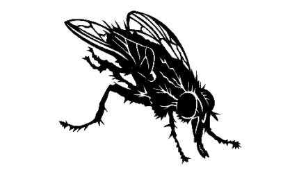 Fly decal