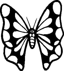 Butterfly Sticker 08
