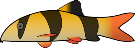 Clown Loach color fish sticker