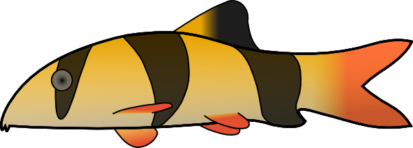 Clown Loach color fish sticker