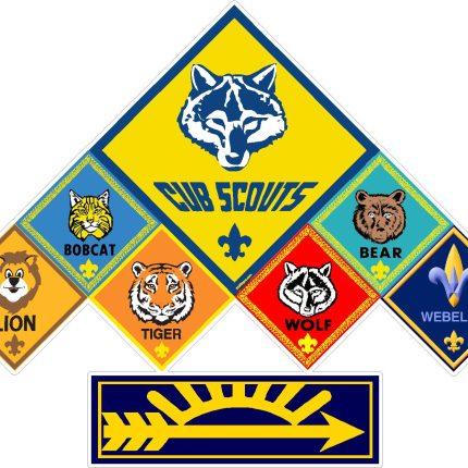 cub scouts RANKS STICKER blue arrow 2