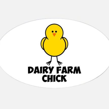 dairy farm chick_oval sticker