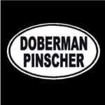 Doberman Pinscher Oval Decal
