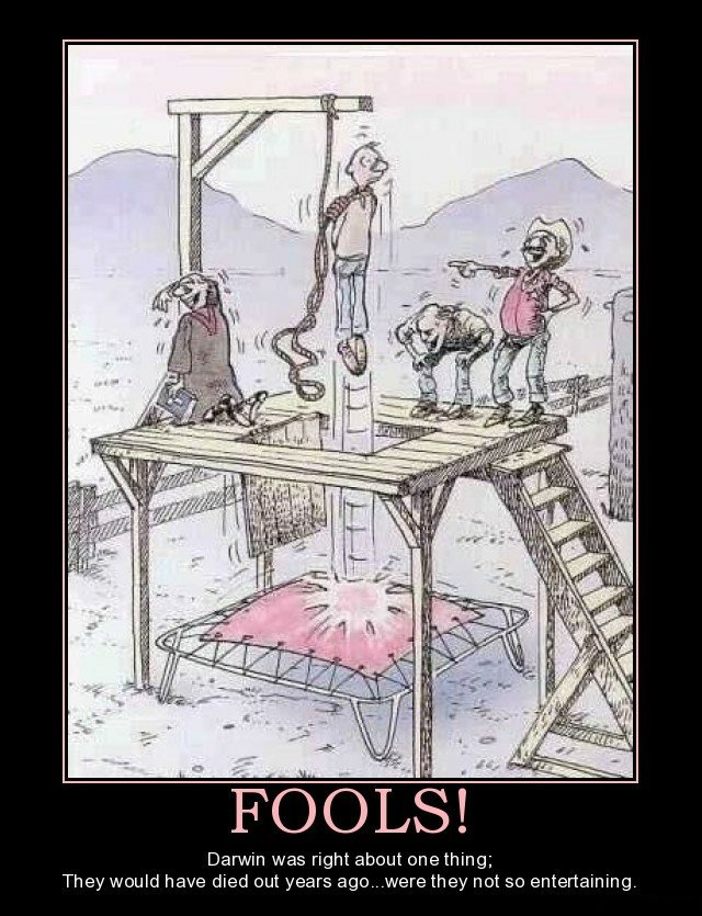 fools foolishness challenge idiots