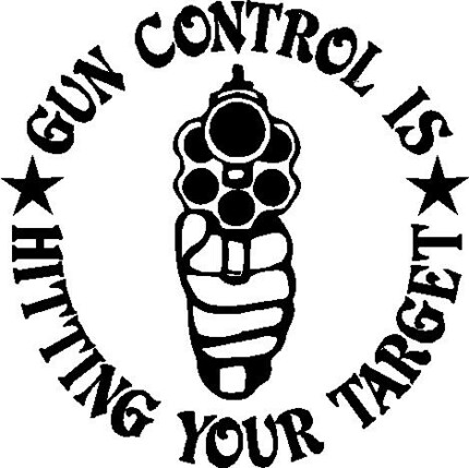 Gun Control is Hitting Your Target Diecut Vinyl Decal Sticker 2