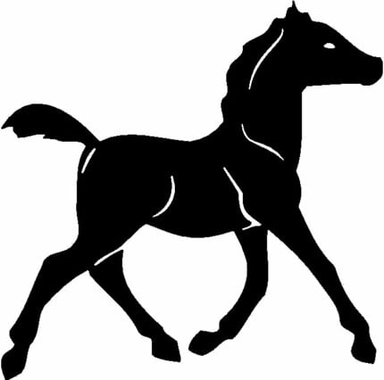 Horses Horse Animal Vinyl Car or WALL Decal Stickers 07
