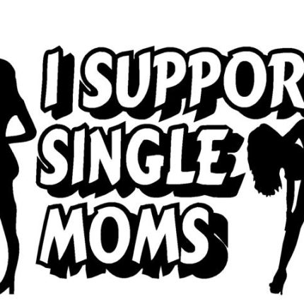 I Support Single Moms Vinyl Car Decal