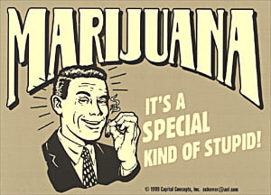 Marijuana Special Kind of Stupid Decal