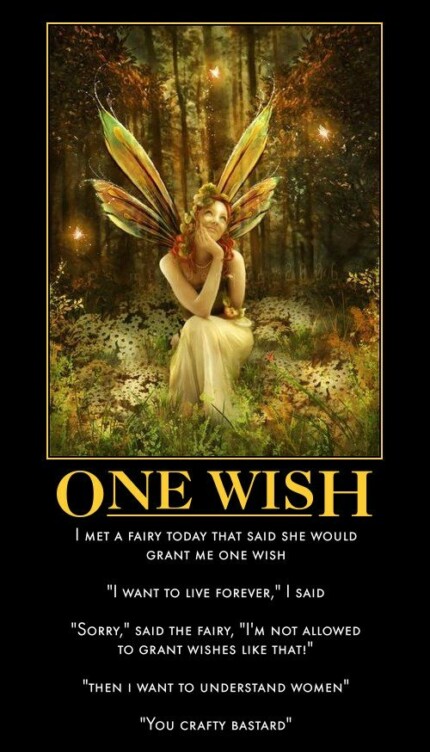 one wish fairy wishes demotivational