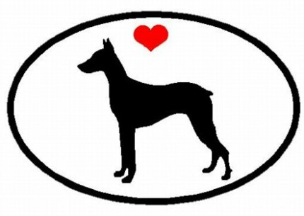 Oval Doberman Pinscher Decal