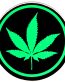 pot leaf green and black round sticker