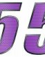 Two Digit - CARBON FIBER Race Number Kit