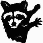 Racoon Vinyl Hunting Decal