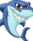 shark boat sticker 11