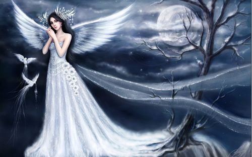 Fairies and Fantasy Wall Graphics 174