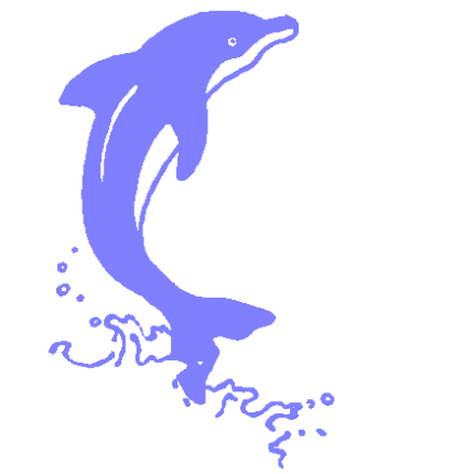 Dolphin 3 decal