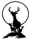 Deer Hunting Decal 77
