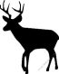 Deer Hunting Decal Sticker 22