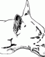 Dog Breed Decal 35a
