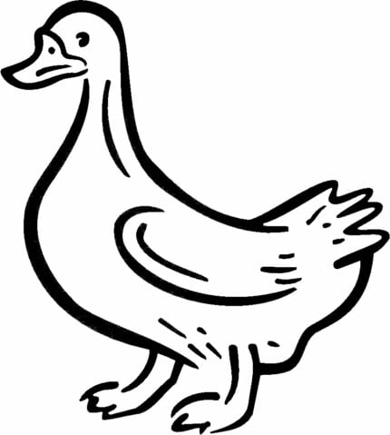 Duck Vinyl Car or WALL Decal Stickers 02