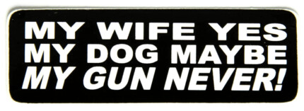 gun control bumper sticker 44