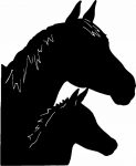 Horses Horse Animal Vinyl Car or WALL Decal Stickers 20