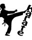 Karate Girl Decal 2