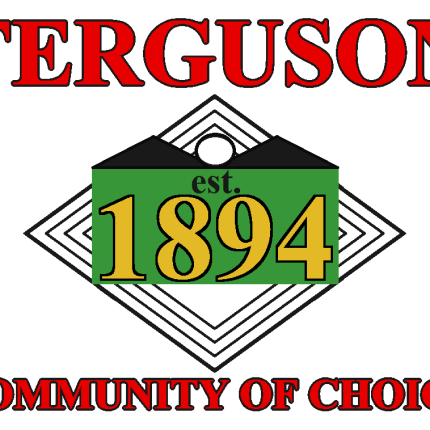 Missouri Ferguson City Flag Decal