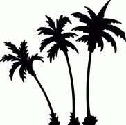 Palm Tree Decal 6