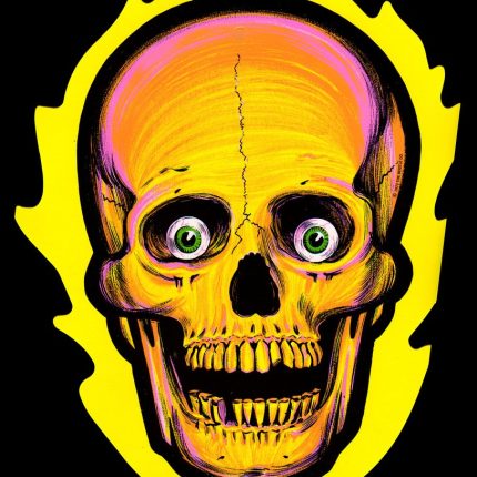 Skull Stickers 02