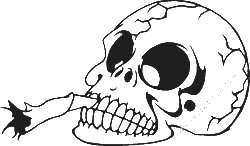 Skull Vinyl Decal Sticker 46