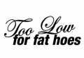 Too Low for Fat Hoes funny auto decal