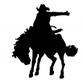 Western Decals 12