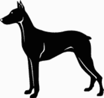 15L Doberman Pinscher Dog Decal