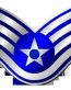 Air Force Wings and Star Patch Color Sticker 3
