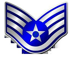 Air Force Wings and Star Patch Color Sticker 3