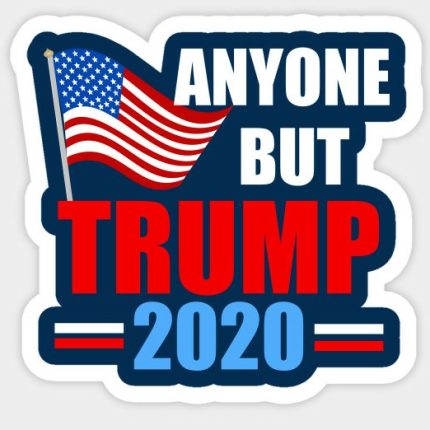 ANYONE BUT TRUMP 2020 USA STICKER