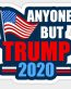 ANYONE BUT TRUMP 2020 USA STICKER