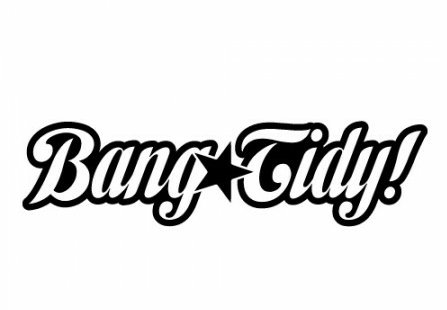Bang Tidy Funny Guy Sticker