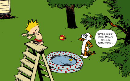 Calvin and Hobbes Rectangular Color Stickers 02