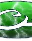 DRAKE OVAL DECAL- Lightning Green FILL