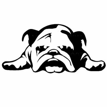 English-Bulldog-Tired-Puppy-Dog-Rescue-Vinyl-Sticker