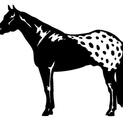 Horse Diecut Decal 45