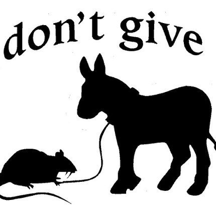 I Dont Give A Rats Ass funny car window wall decal sticker