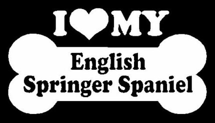 I Love My English Springer Spaniel