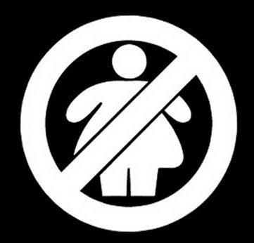 no fat chicks funny guy decal