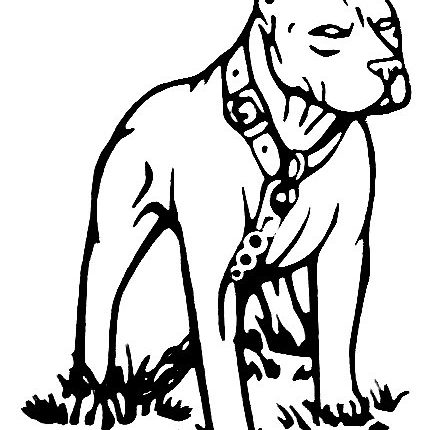 Pitbull Diecut Decal 66