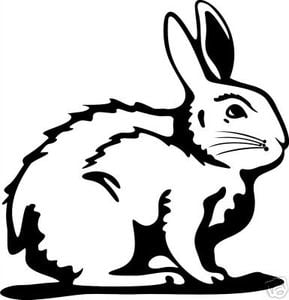 Rabbit Hunting Sticker